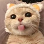 Roxana Ruelas avatar