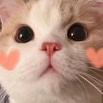 Daniela Solís avatar